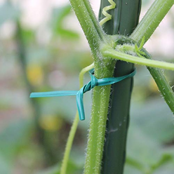 VIMOA Garden Twine 164 Feet Twist Ties with Cutter for Plants, Vin...